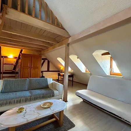 Pensees D'alsace - Loft Cosy Hypercentre Colmar