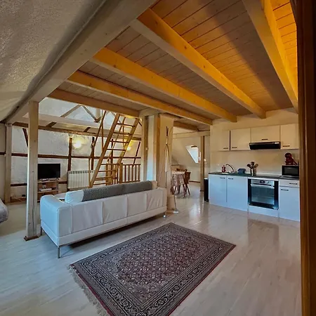 Pensees D'alsace - Loft Cosy Hypercentre Colmar