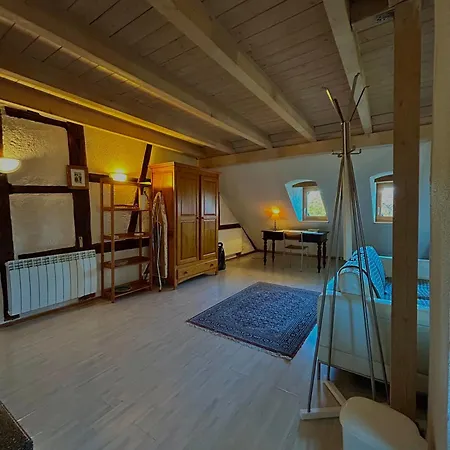 Lägenhet Pensees D'alsace - Loft Cosy Hypercentre