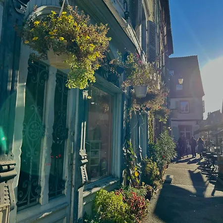 Pensees D'alsace - Loft Cosy Hypercentre Colmar