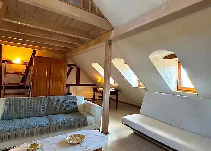 Pensees D'alsace - Loft Cosy Hypercentre Colmar