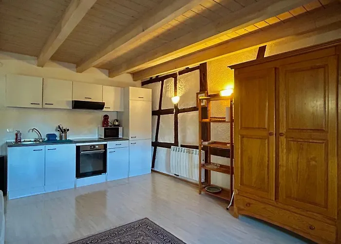 Pensees D'alsace - Loft Cosy Hypercentre