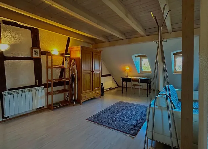 Apartament Pensees D'alsace - Loft Cosy Hypercentre